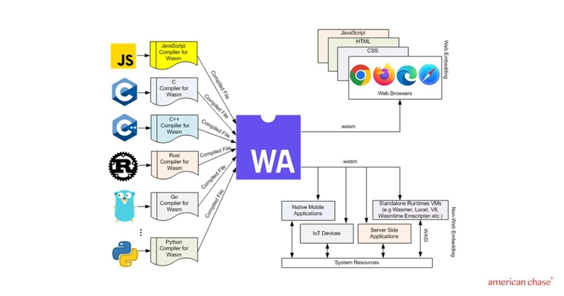 WebAssembly Ecosystem: Compilation from multiple languages to Web and Non-Web Embedding environments